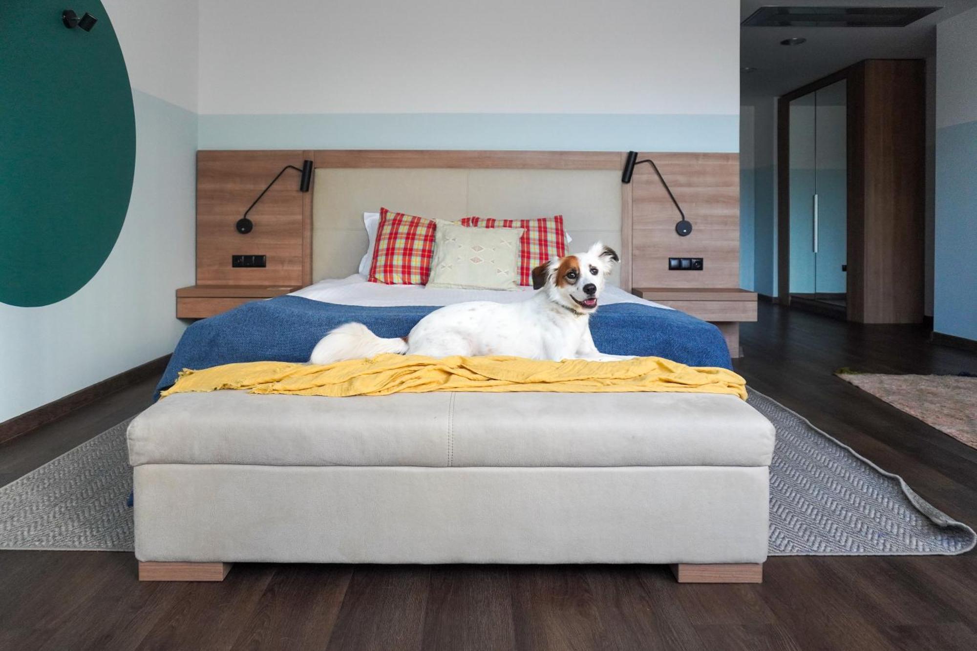 Pet Friendly Deluxe Double Room